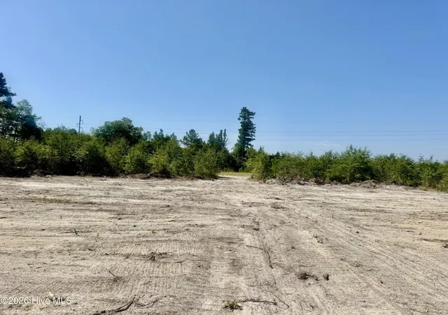 Photo 3 of Land for sale at 0 Dowd Dairy Rd, White Oak, NC 28399 | MLS# 100598930 | Listing updated on 2026-08-26