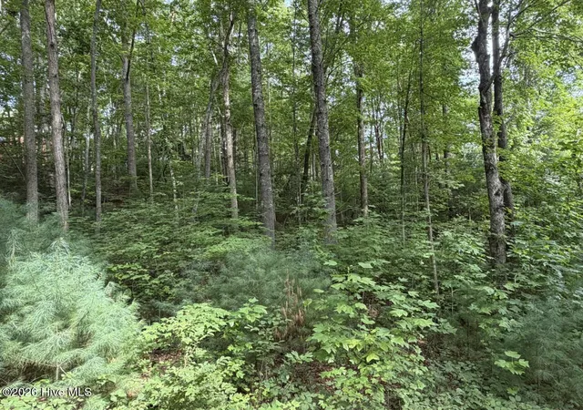 Photo 4 of Land for sale at Lot 9 Confederate Cir, Murphy, NC 28906 | MLS# 100597707 | Listing updated on 2026-08-20
