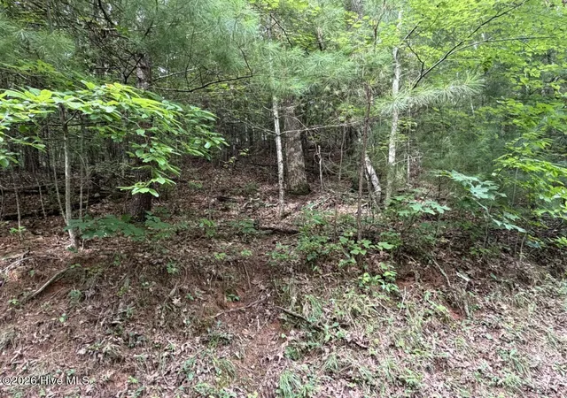 Photo 5 of Land for sale at Lot 9 Confederate Cir, Murphy, NC 28906 | MLS# 100597707 | Listing updated on 2026-08-20