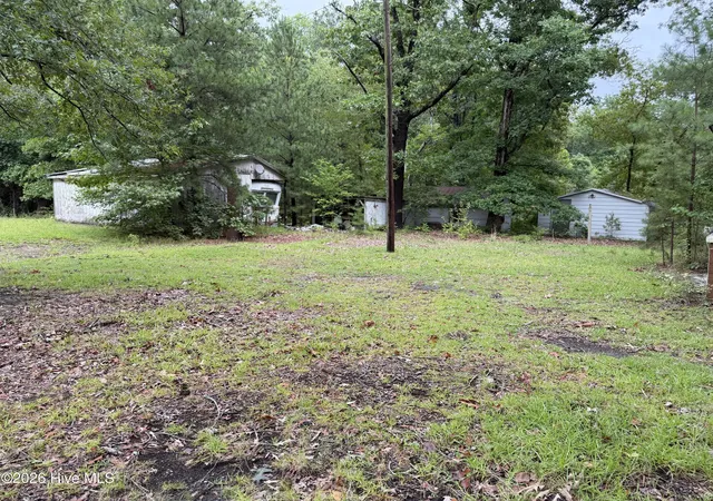 Photo 3 of Single family home for sale at 235 Bryant Rd, Carthage, NC 28327 | MLS# 100596875 | Listing updated on 2026-09-22