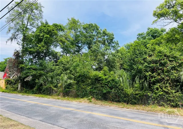 Photo 3 of Land for sale at 0 Skidaway Rd, Savannah, GA 31404 | MLS# SA354432 | Listing updated on 2026-08-26