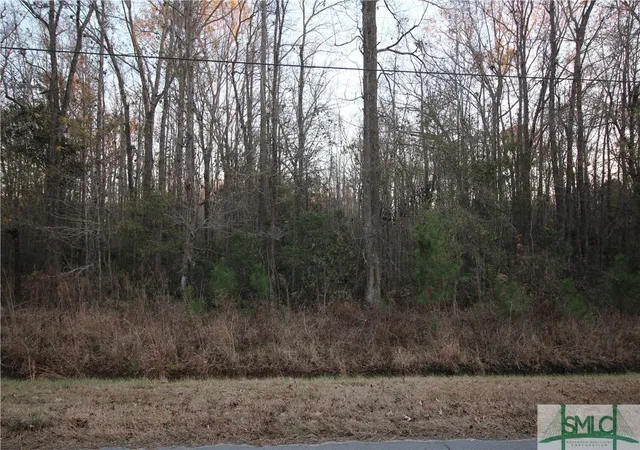 Photo 3 of Land for sale at 366 Big Ests Cir, Yemassee, SC 29945 | MLS# SA324892 | Listing updated on 2026-10-08