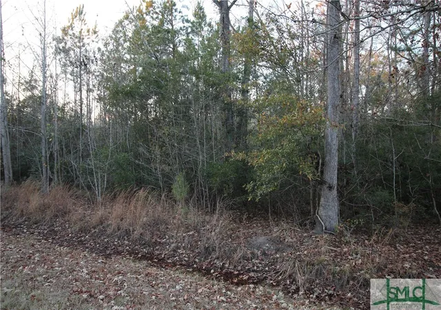 Photo 3 of Land for sale at 366 Big Ests Cir, Yemassee, SC 29945 | MLS# SA324892 | Listing updated on 2026-10-09