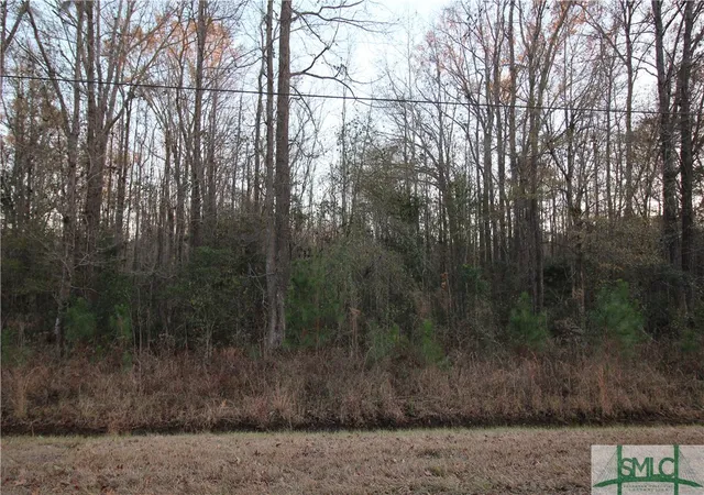 Photo 4 of Land for sale at 366 Big Ests Cir, Yemassee, SC 29945 | MLS# SA324892 | Listing updated on 2026-10-09