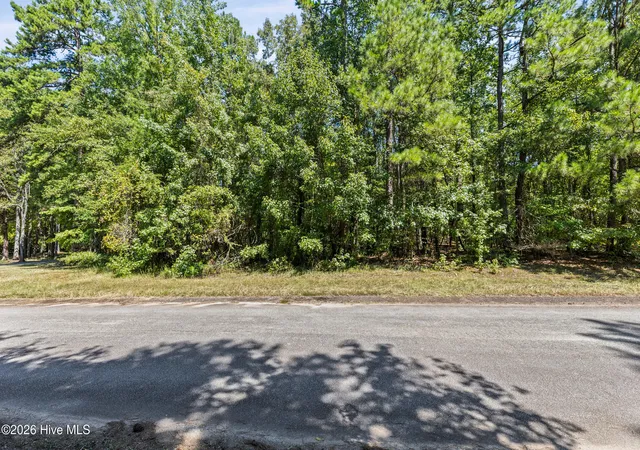 Photo 1 of Land for sale at 1384 Tanyard Creek Dr, Thomson, GA 30824 | MLS# 100598921 | Listing updated on 2026-08-26