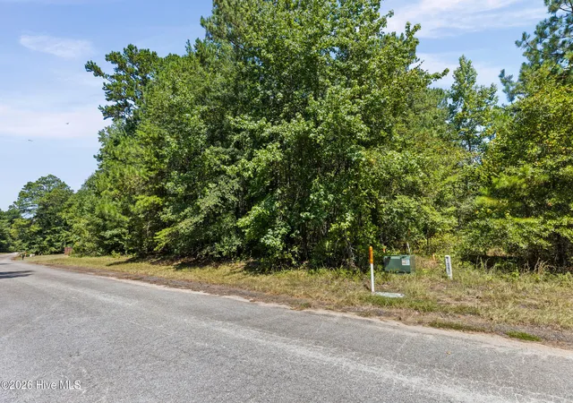 Photo 3 of Land for sale at 1384 Tanyard Creek Dr, Thomson, GA 30824 | MLS# 100598921 | Listing updated on 2026-08-26