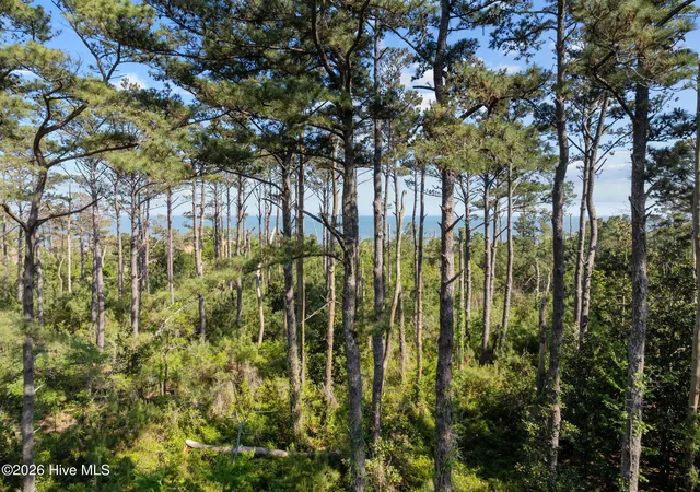 Photo 3 of Land for sale at 1369 Army Camp Rd, Davis, NC 28524 | MLS# 100569373 | Listing updated on 2026-08-28