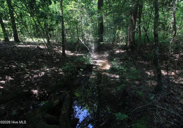 Photo 18 of Land for sale at 0 Crowatan Trl, Carthage, NC 28327 | MLS# 100592058 | Listing updated on 2026-08-24