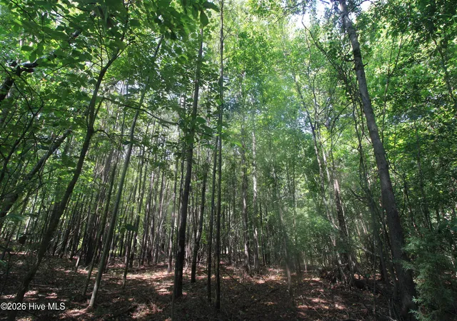 Photo 5 of Land for sale at 0 Crowatan Trl, Carthage, NC 28327 | MLS# 100592058 | Listing updated on 2026-08-24