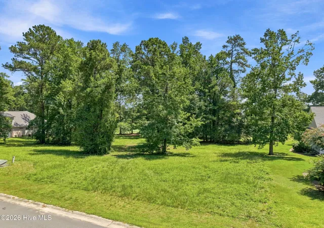 Photo 2 of Land for sale at (Undisclosed), Wallace, NC 28466 | MLS# 100598443 | Listing updated on 2026-10-05