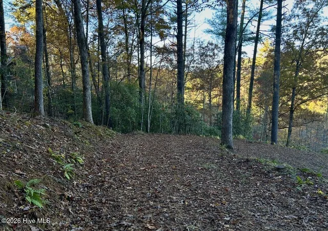 Photo 3 of Land for sale at 84 Nottley Ridge Rd, Murphy, NC 28906 | MLS# 100598857 | Listing updated on 2026-08-26