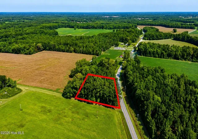 2nd image of 0 Swamp Fox Hwy W, Cerro Gordo, NC 28430 | MLS# 100598213