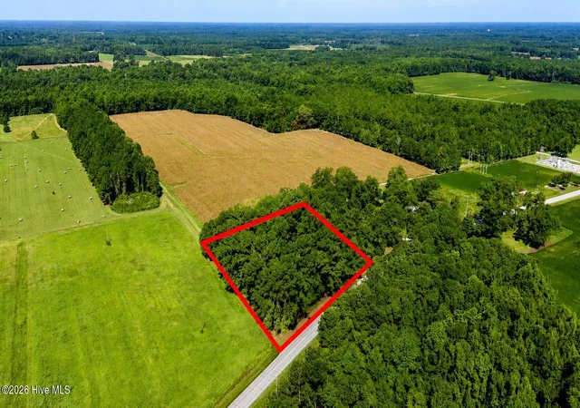 3rd image of 0 Swamp Fox Hwy W, Cerro Gordo, NC 28430 | MLS# 100598213