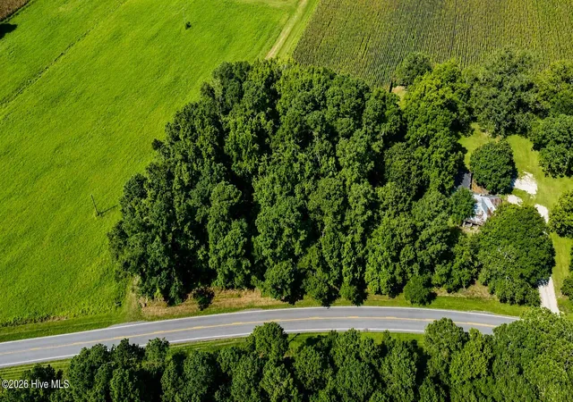 4th image of 0 Swamp Fox Hwy W, Cerro Gordo, NC 28430 | MLS# 100598213