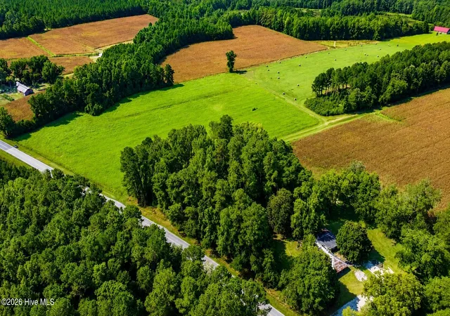 5th image of 0 Swamp Fox Hwy W, Cerro Gordo, NC 28430 | MLS# 100598213