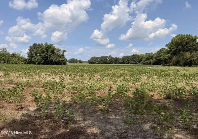 Photo 1 of House for sale at 685 Snake Rd, Lumberton, NC 28358 | MLS# 100598155 | Listing updated on 2026-09-04