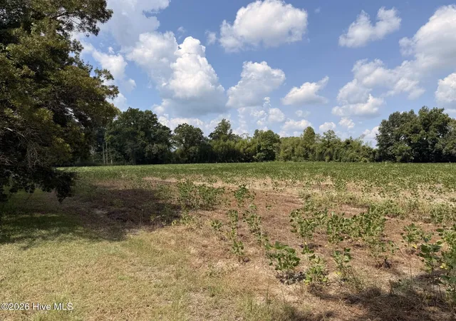 Photo 2 of House for sale at 685 Snake Rd, Lumberton, NC 28358 | MLS# 100598155 | Listing updated on 2026-09-04