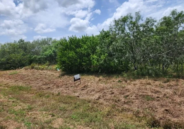 1st image of 000 Fm 466 St, Cost, TX 78614 | MLS# 9162472