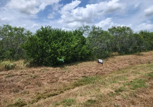 3rd image of 000 Fm 466 St, Cost, TX 78614 | MLS# 9162472