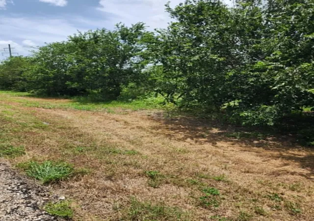 4th image of 000 Fm 466 St, Cost, TX 78614 | MLS# 9162472