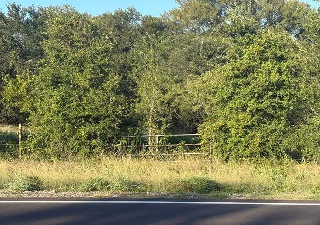 1st image of 1401 Fm 713, Lockhart, TX 78644 | MLS# 9699548