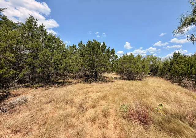 3rd image of 21900 Patton Cv, Leander, TX 78645 | MLS# 6508519