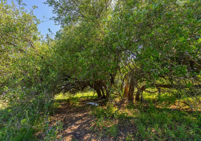2nd image of Tbd County Road 180 Mesquite Hollow Ranch Rd, Purmela, TX 76566 | MLS# 1042698