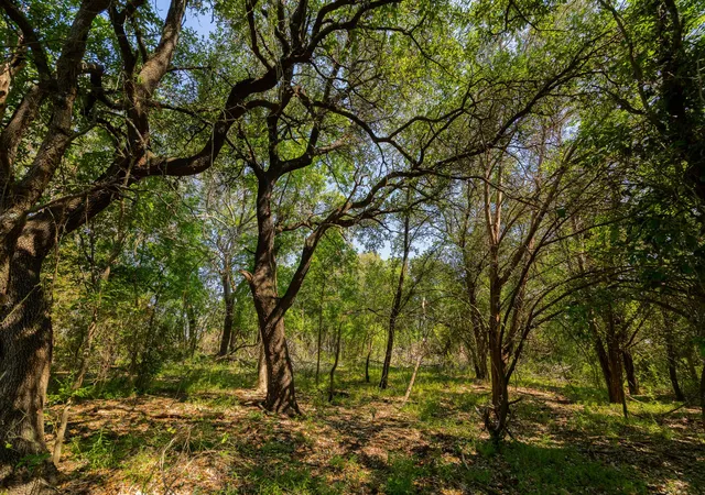 3rd image of Tbd County Road 180 Mesquite Hollow Ranch Rd, Purmela, TX 76566 | MLS# 1042698