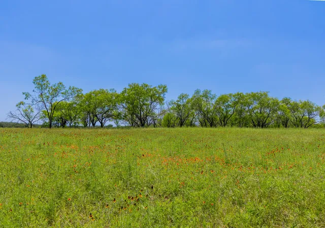 39th image of Tbd County Road 180 Mesquite Hollow Ranch Rd, Purmela, TX 76566 | MLS# 1042698