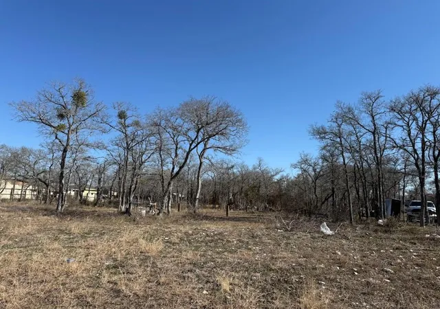 4th image of 121 Pink Dahlia Dr, Dale, TX 78616 | MLS# 5673805