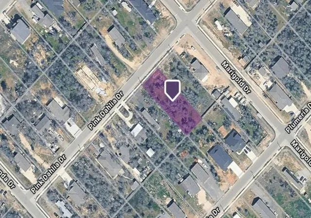 5th image of 121 Pink Dahlia Dr, Dale, TX 78616 | MLS# 5673805