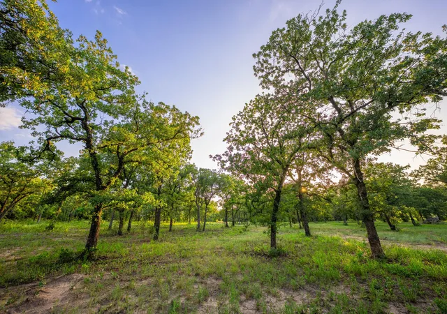 5th image of 8606 Star Hollow Rd, Lipan, TX 76462 | MLS# 2807882