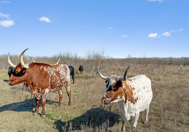 2nd image of 0 Rolling Ridge Rd, Lockhart, TX 78644 | MLS# 4867114