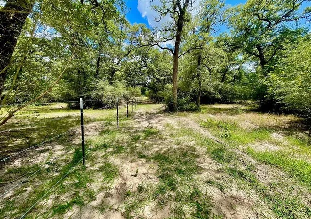 5th image of 10571 County Road 321, Caldwell, TX 77836 | MLS# 7368448