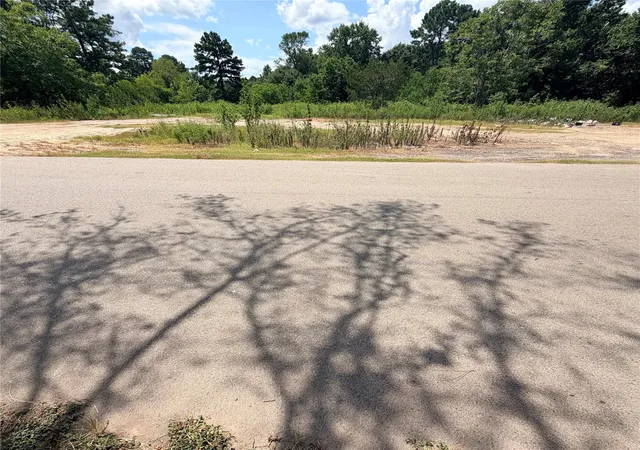 4th image of 420 E Semands St, Conroe, TX 77301 | MLS# 88705724
