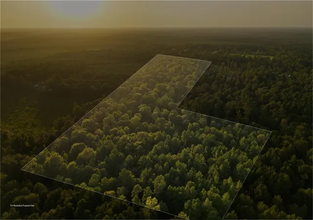 Photo 1 of Land for sale at 4849 Menard Chapel Rd, Livingston, TX 77351 | MLS# 84405973 | Listing updated on 2026-08-17