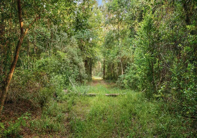 Photo 2 of Land for sale at 4849 Menard Chapel Rd, Livingston, TX 77351 | MLS# 84405973 | Listing updated on 2026-08-17