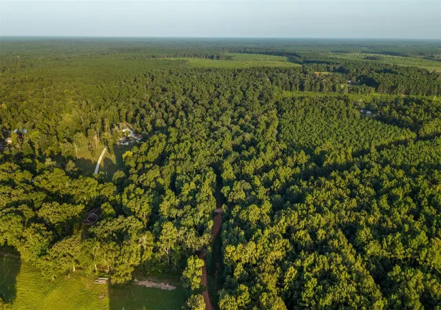 Photo 3 of Land for sale at 4849 Menard Chapel Rd, Livingston, TX 77351 | MLS# 84405973 | Listing updated on 2026-08-17