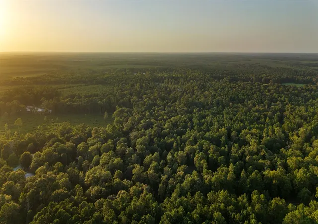 Photo 3 of Land for sale at 4849 Menard Chapel Rd, Livingston, TX 77351 | MLS# 84405973 | Listing updated on 2026-08-17