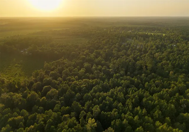 Photo 4 of Land for sale at 4849 Menard Chapel Rd, Livingston, TX 77351 | MLS# 84405973 | Listing updated on 2026-08-17