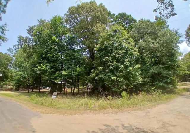 5th image of Lot #26 Private Rd 52606, Pittsburg, TX 75686 | MLS# 67906826