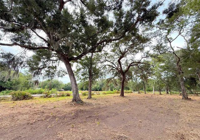 Photo 1 of Land for sale at Lot 12a1 Cr 345, Brazoria, TX 77422 | MLS# 25615277 | Listing updated on 2026-10-07