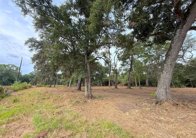 Photo 2 of Land for sale at Lot 12a1 Cr 345, Brazoria, TX 77422 | MLS# 25615277 | Listing updated on 2026-10-07