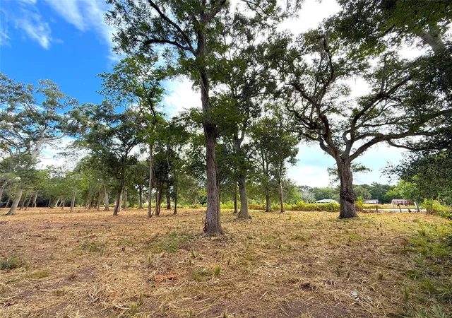Photo 3 of Land for sale at Lot 12a1 Cr 345, Brazoria, TX 77422 | MLS# 25615277 | Listing updated on 2026-10-07