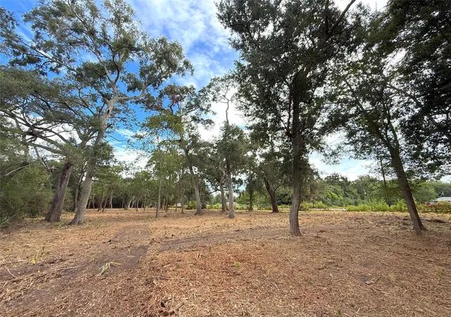 Photo 3 of Land for sale at Lot 12a1 Cr 345, Brazoria, TX 77422 | MLS# 25615277 | Listing updated on 2026-10-07
