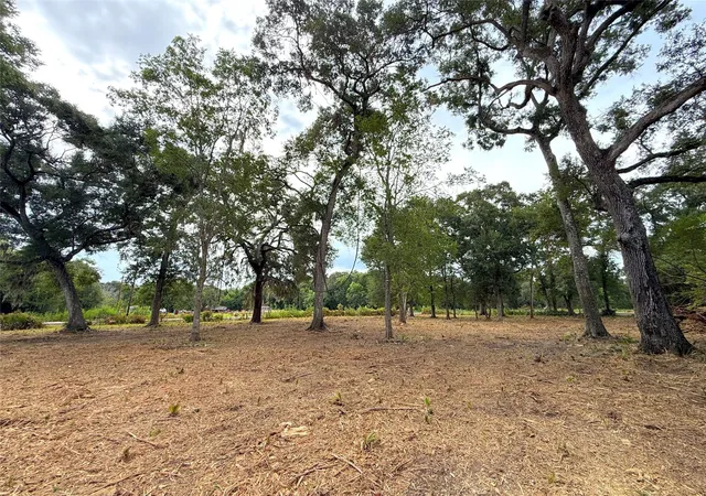 Photo 4 of Land for sale at Lot 12a1 Cr 345, Brazoria, TX 77422 | MLS# 25615277 | Listing updated on 2026-10-07