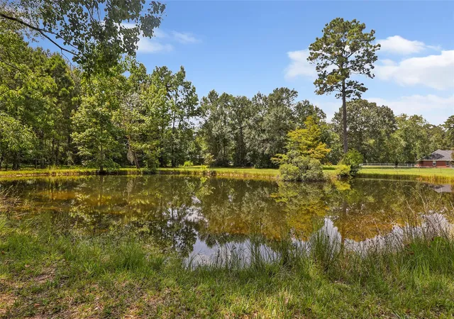 50th image of 26342 Hill And Dale Ave, Splendora, TX 77372 | MLS# 31305166