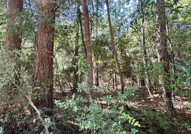 Photo 3 of Land for sale at Tbd34 Westwood Dr E, Trinity, TX 75862 | MLS# 86908648 | Listing updated on 2026-08-10