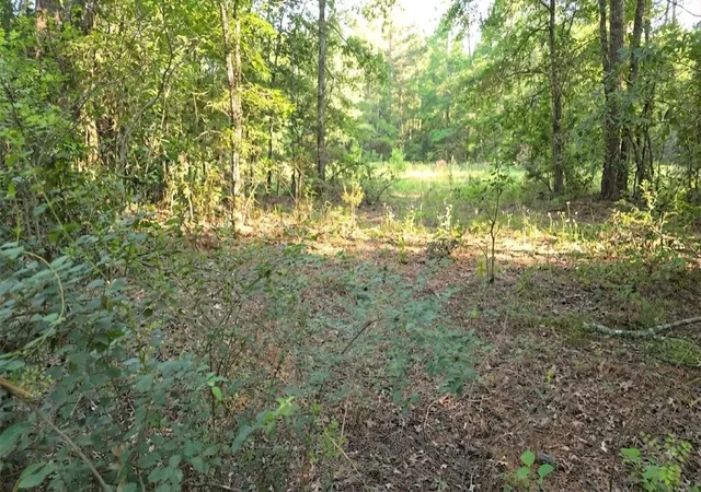 2nd image of 0 Bones Way Ln, Shepherd, TX 77371 | MLS# 47731771