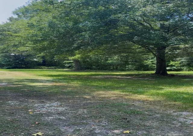 9th image of 15226 Fm 1008, Dayton, TX 77535 | MLS# 53448325